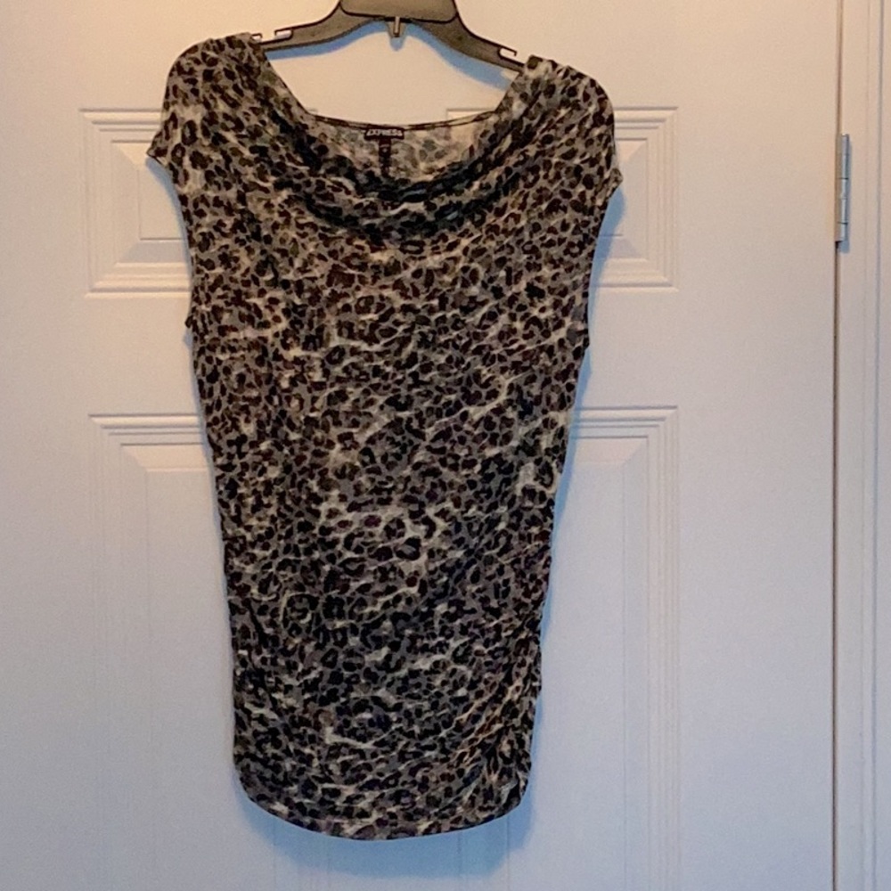 Sheer Express Animal Print Top, Size Medium
